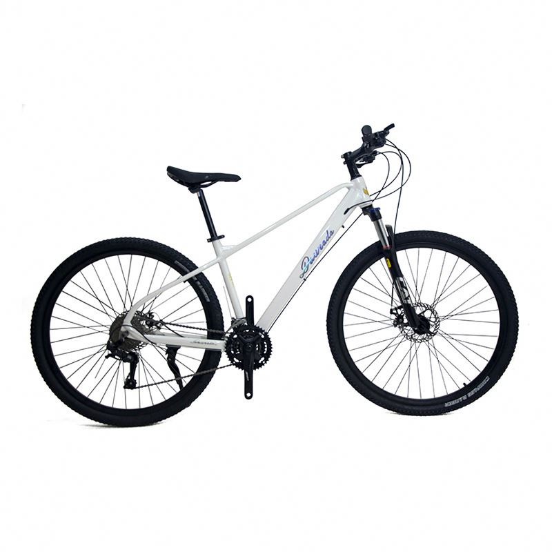 29 inch Aluminum Alloy Mountai - Mountain Biking Usa avis et prix