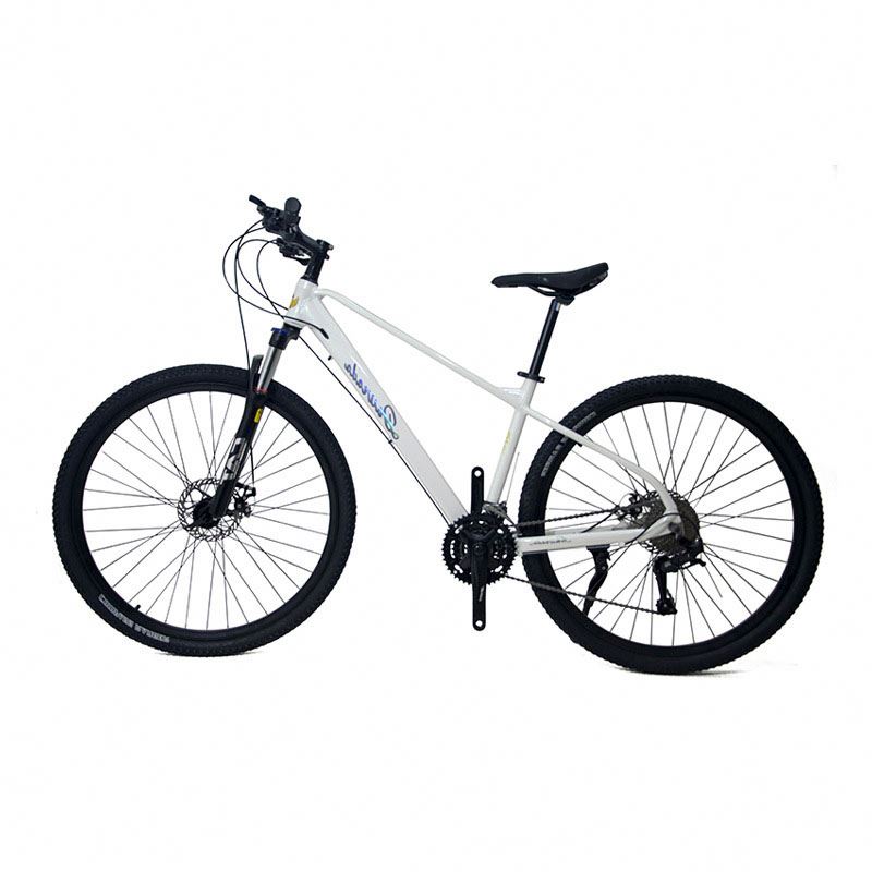 29 inch Aluminum Alloy Mountai - Mountain Biking Usa avis et prix