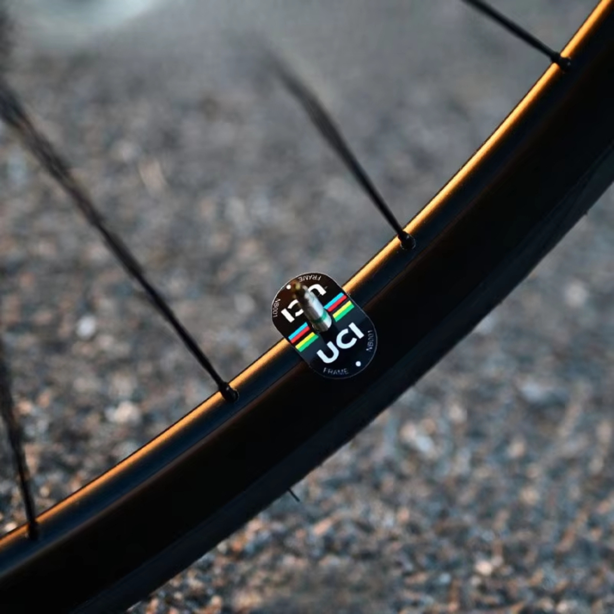 UCI Style Cycling Decor Sticke - Mountain Biking Uci avis et prix