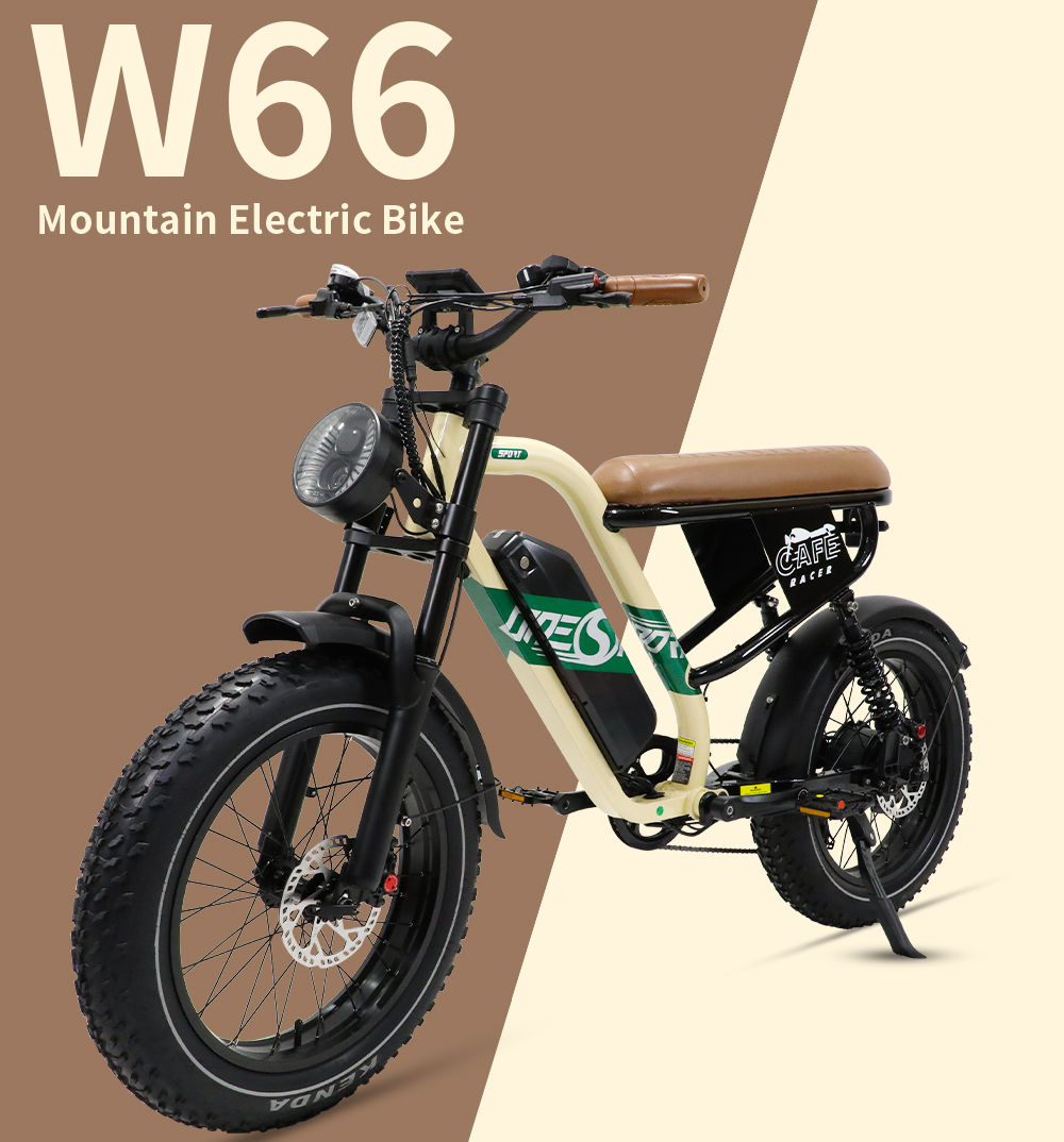 STLF Customizable Retro Electr - Mountain Biking In The Uk avis et prix
