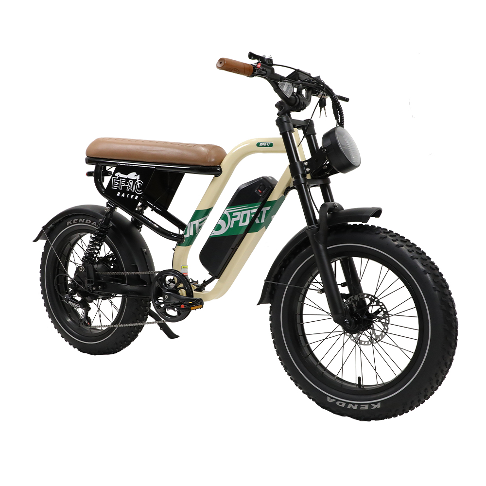 STLF Customizable Retro Electr - Mountain Biking In The Uk avis et prix