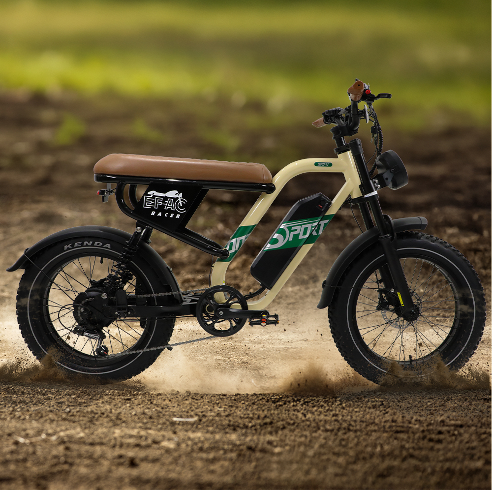 STLF Customizable Retro Electr - Mountain Biking In The Uk avis et prix