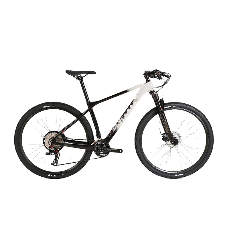 Advanced Ultra-Lightweight 29- - Mountain Biking Usa avis et prix