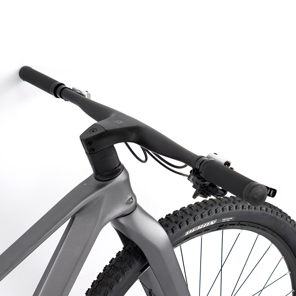Premium Carbon Mountain Bike w - Mountain Biking Usa avis et prix
