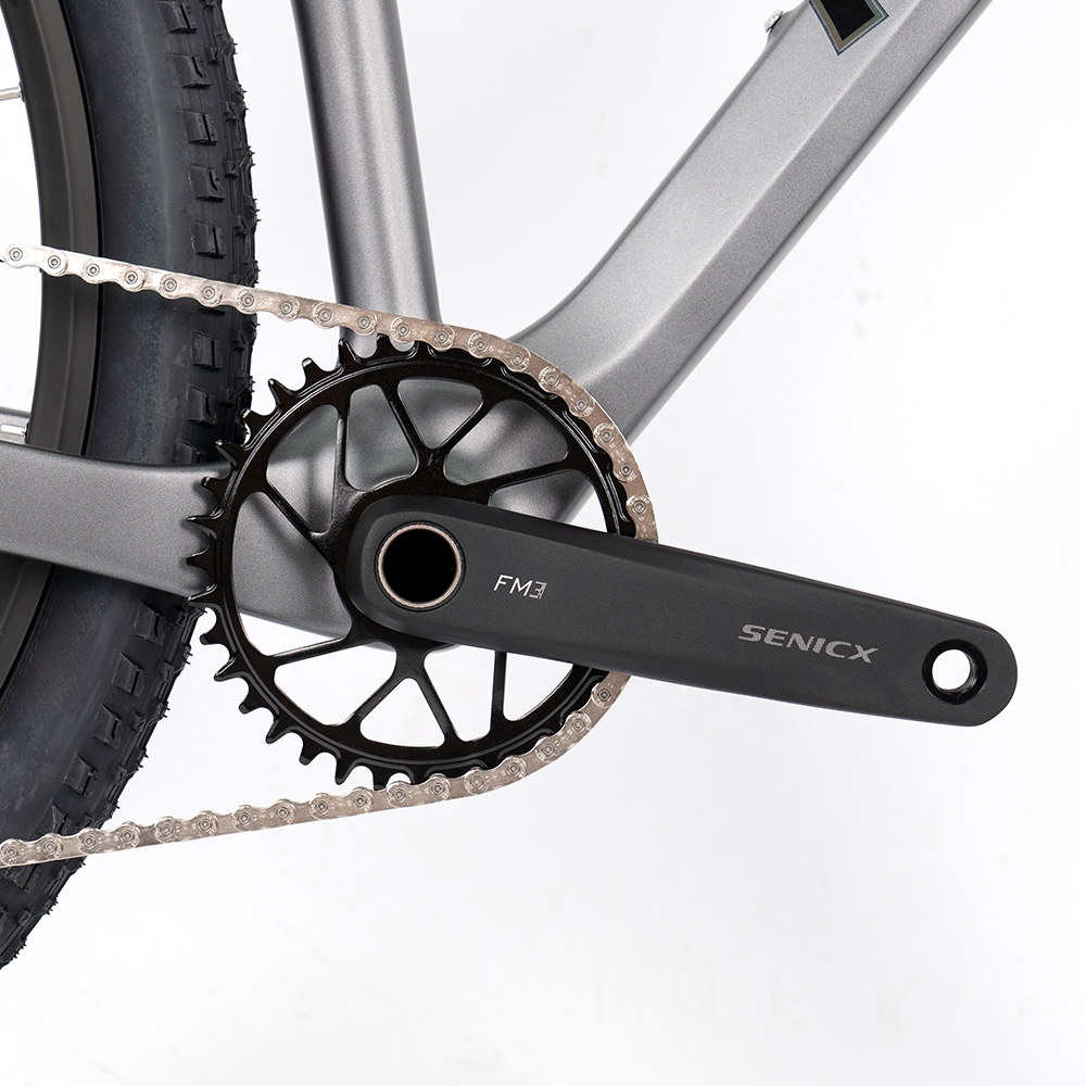 Premium Carbon Mountain Bike w - Mountain Biking Usa avis et prix
