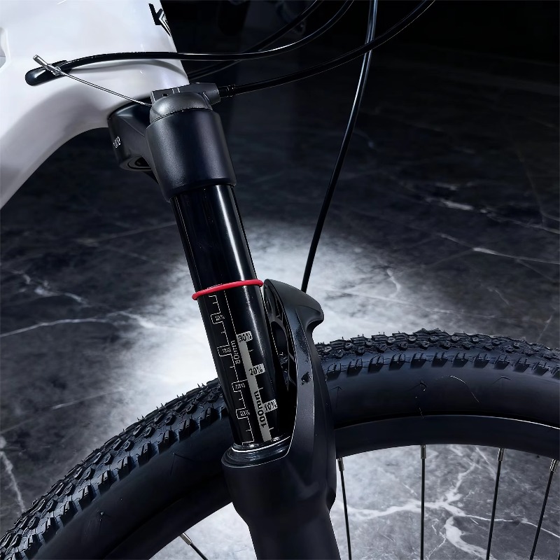 29er Carbon Fiber Mountain Bik - Mountain Biking Usa avis et prix